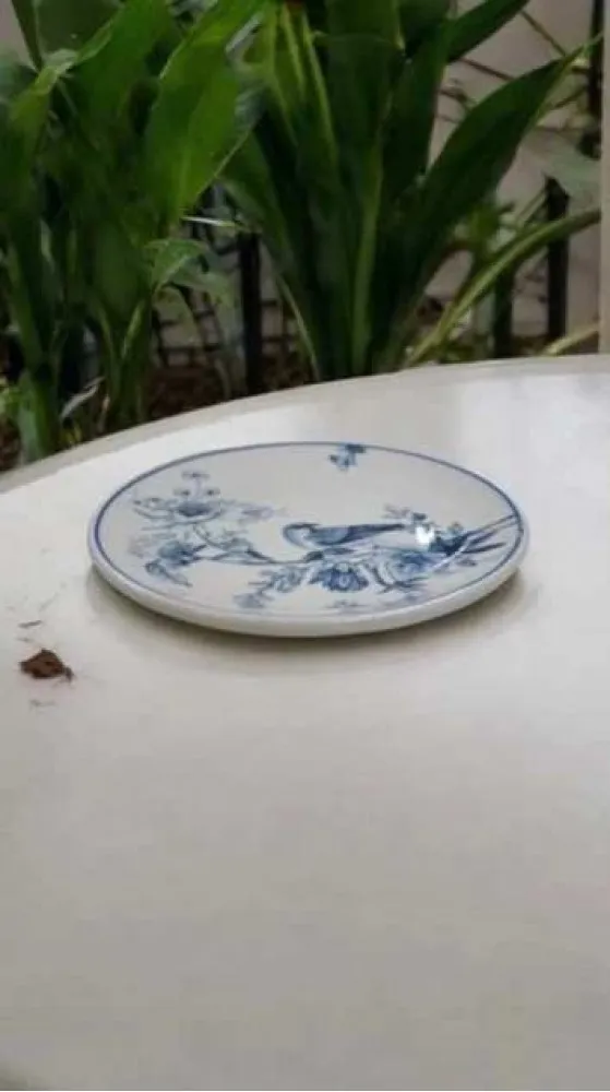 GÜRAL PORSELEN 6 ADET SUJE SERİSİ 19 CM PASTA TABAĞI 1891 KUŞLU