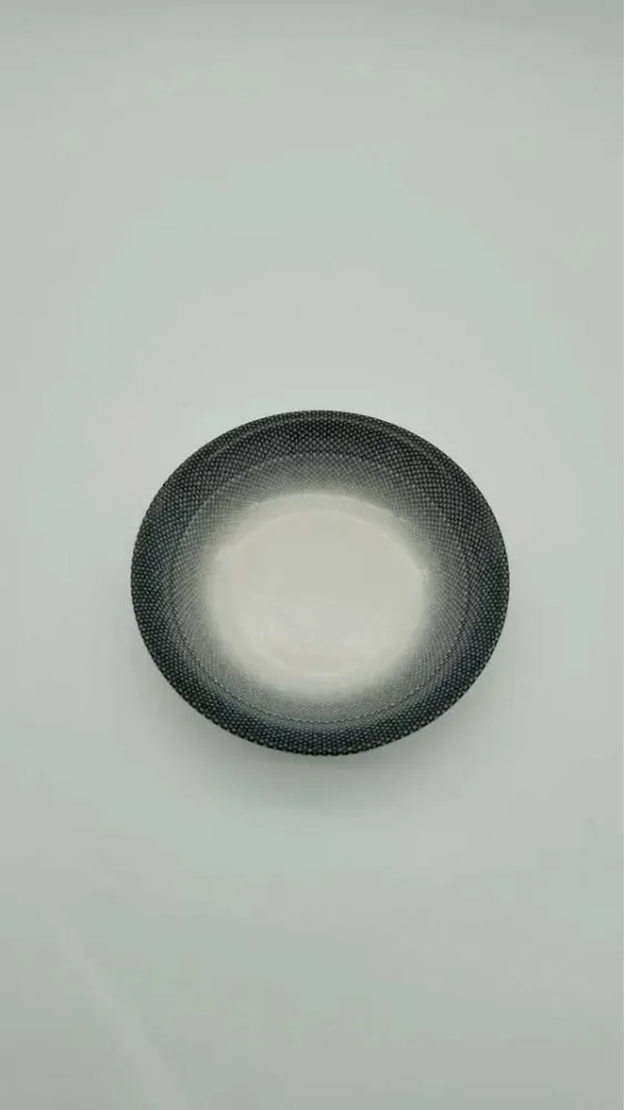 GÜRAL PORSELEN 6 ADET SUJE SERİSİ 19 CM ÇUKUR YEMEK TABAĞI30206